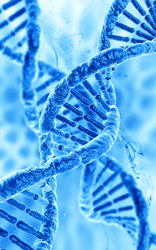 Anhua Bio Launches PDRN Product: Reconstructing the Global Supply Chain of Tissue Regeneration Raw Materials with Synthetic Biology